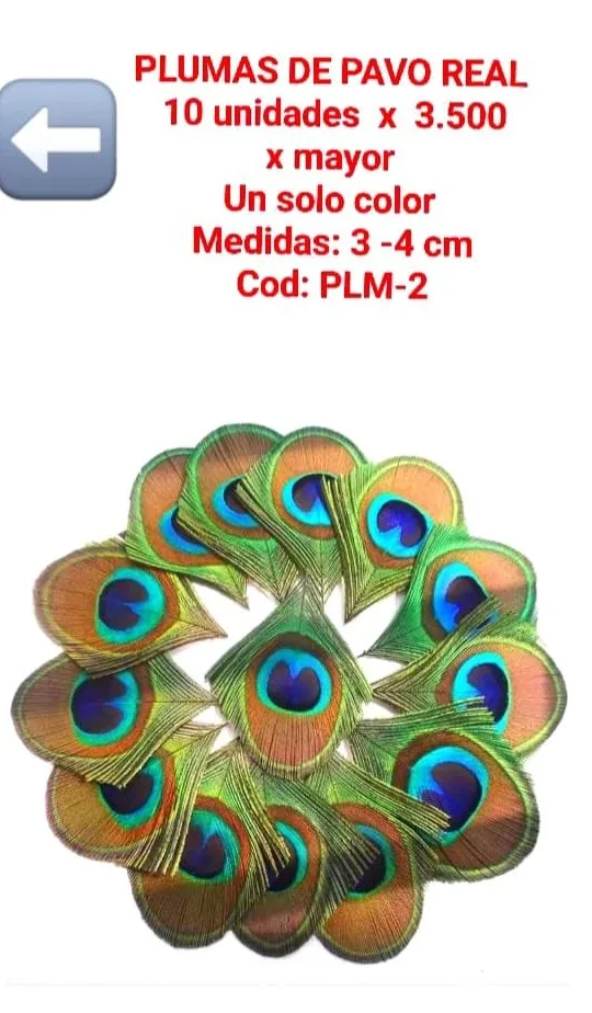 Plumas de Pavo Real - chica
