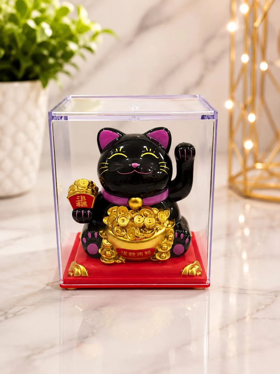 Gatos Solares en Movimiento - Negro (morado)