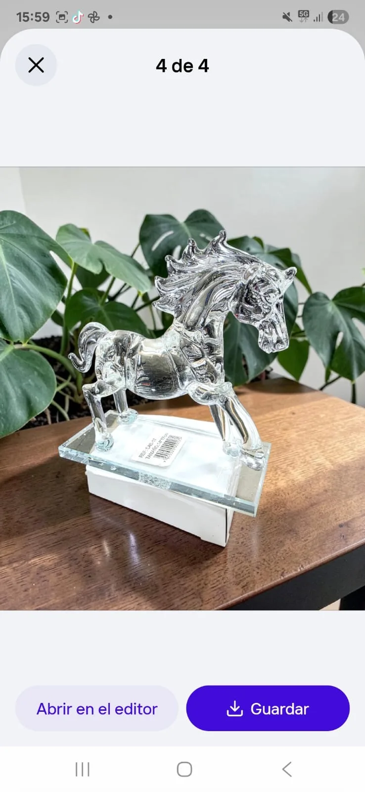 Caballo de Cristal