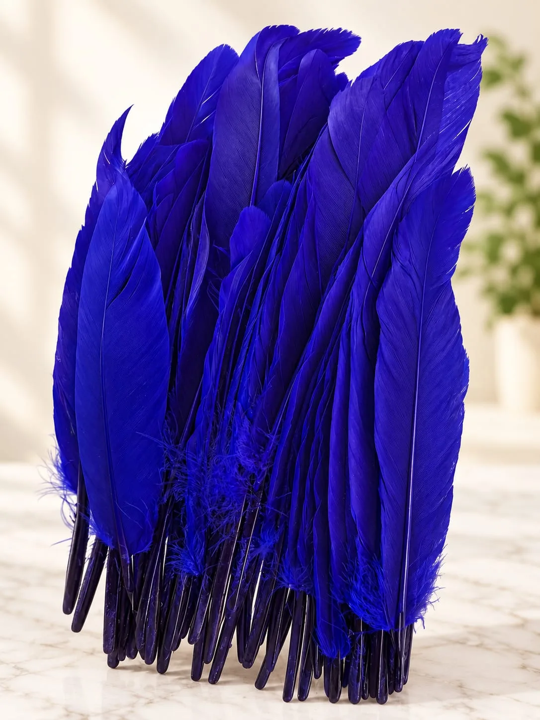 Plumas Lisas Azul Rey