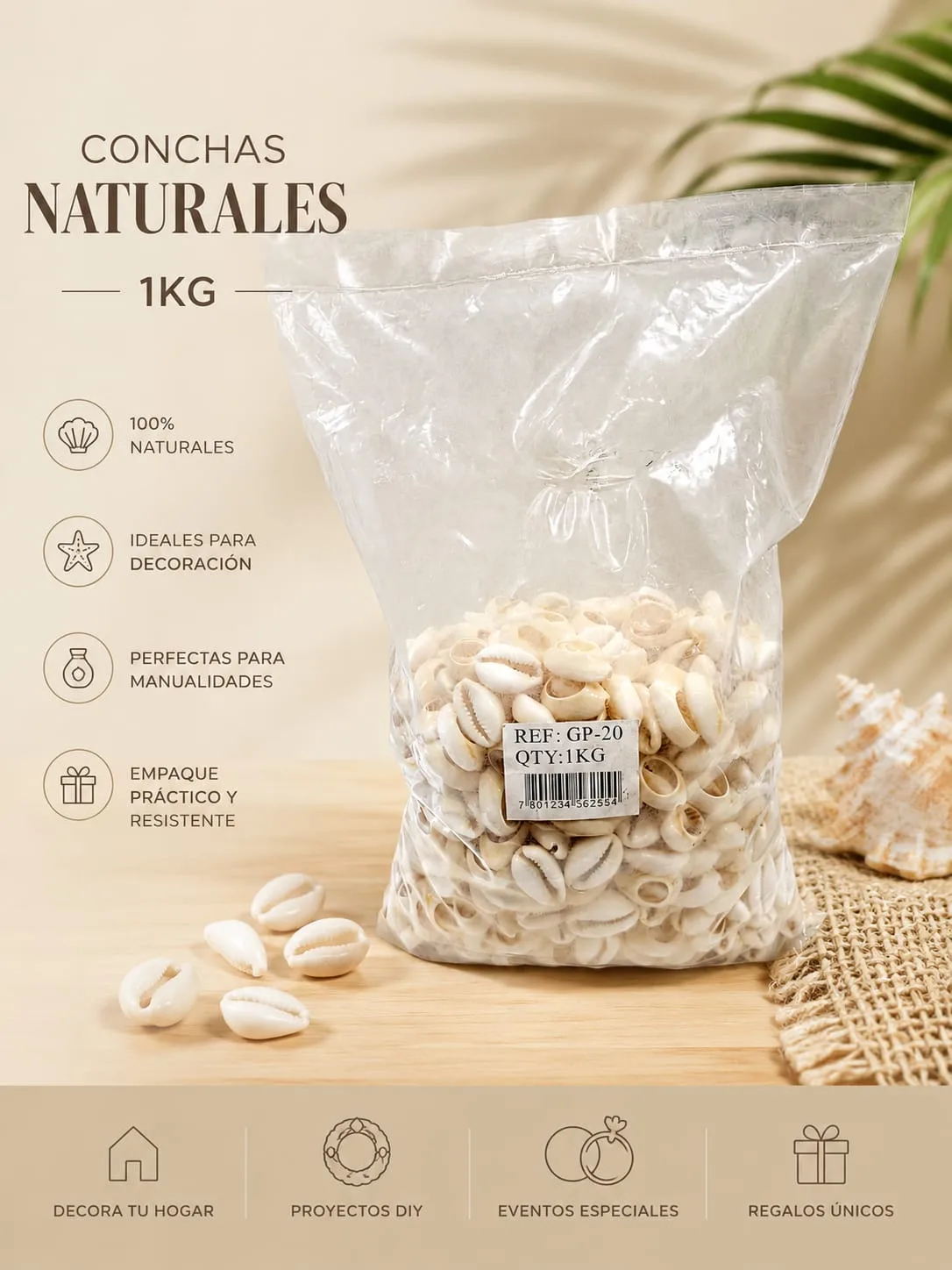 Conchas Abiertas o Pure Blanco