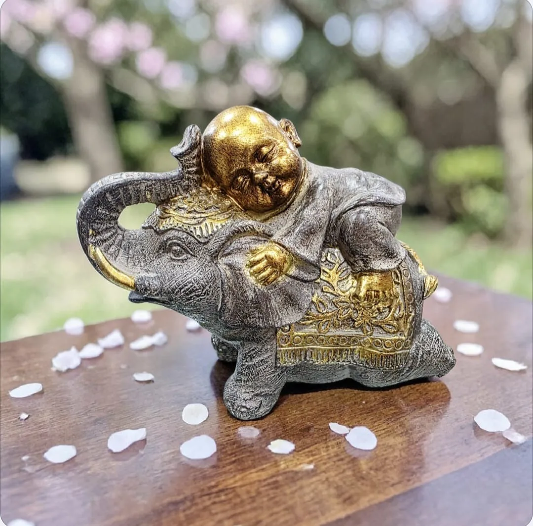 Elefante