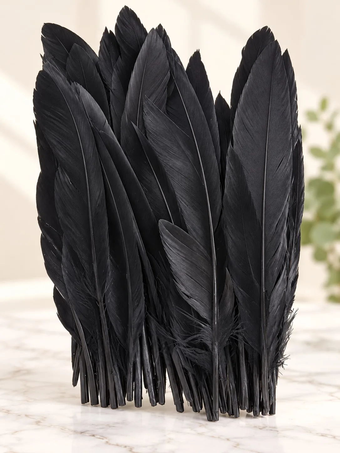 Plumas Lisas Negras