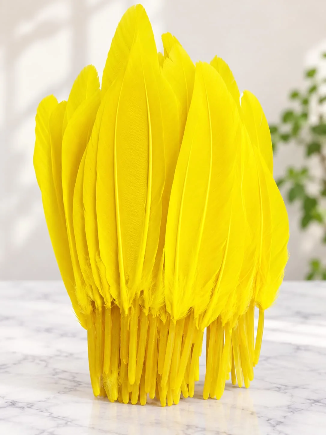 Plumas Lisas Amarillas
