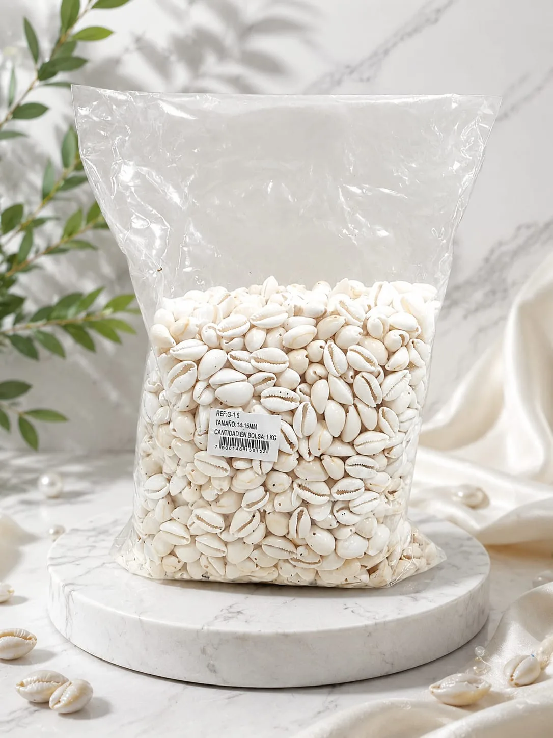 Conchas de Mar o Pure Blanco