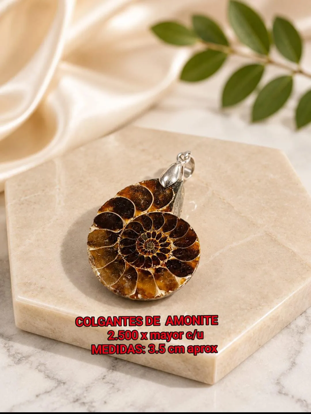 Colgante de amonite