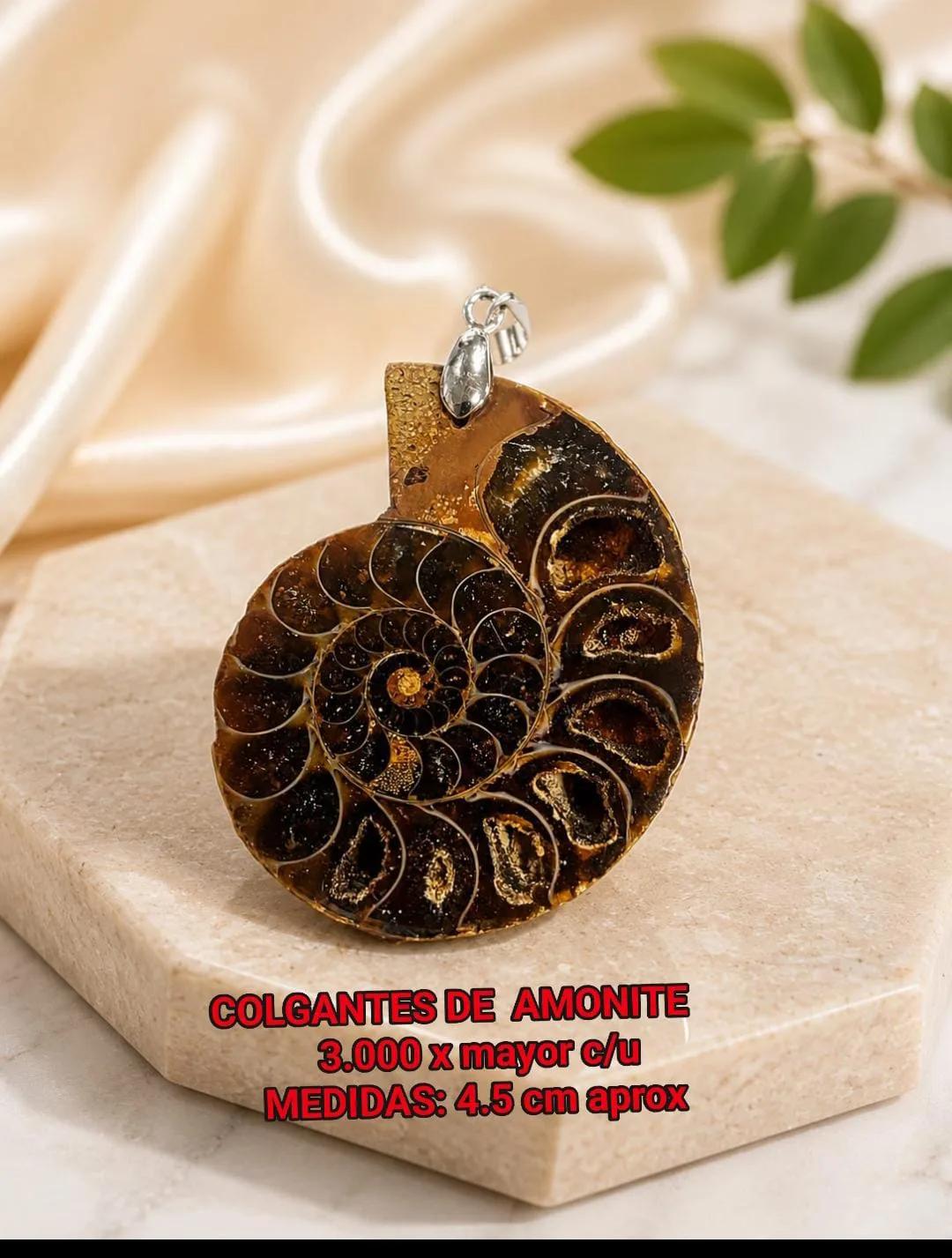 Colgantes de amonite