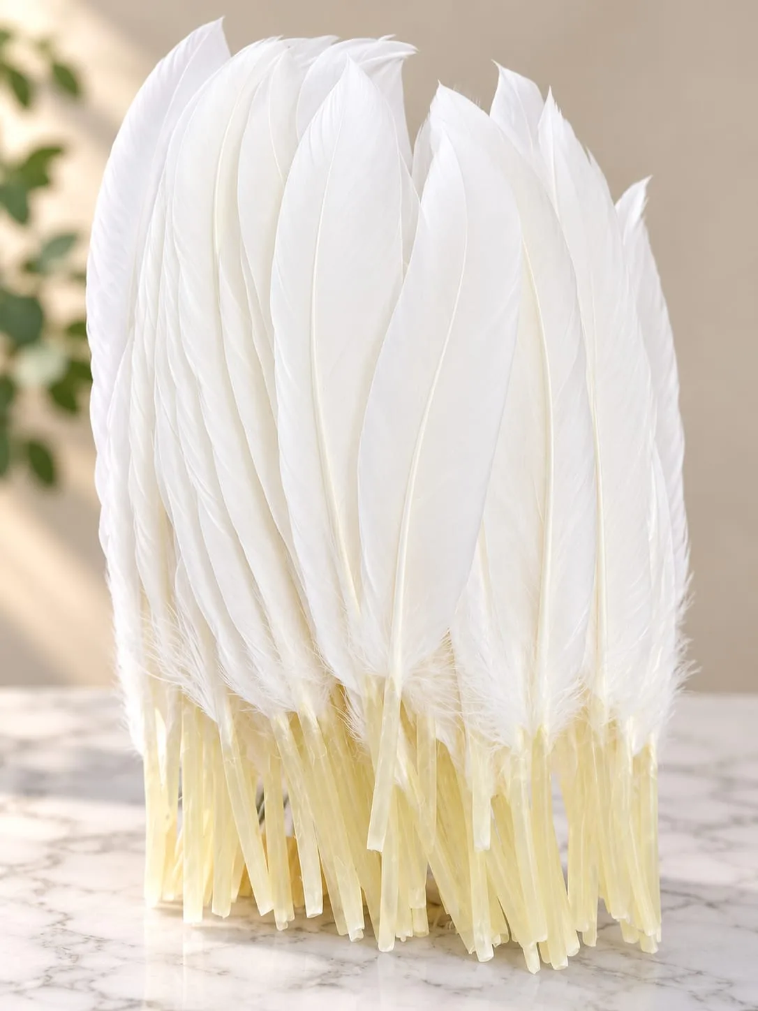 Plumas Lisas Blancas
