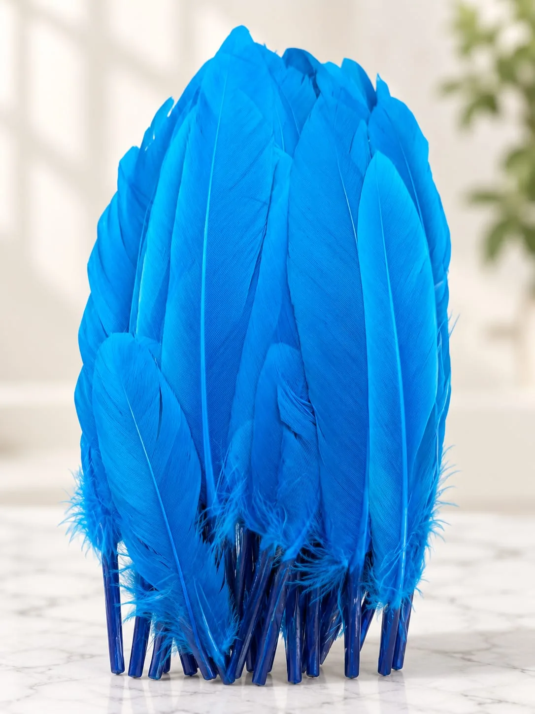 Plumas Lisas Celestes