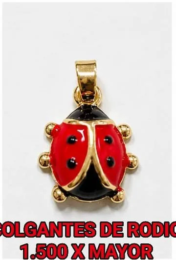 Colgante de Rodio - Mariquita esmaltada roja y negra