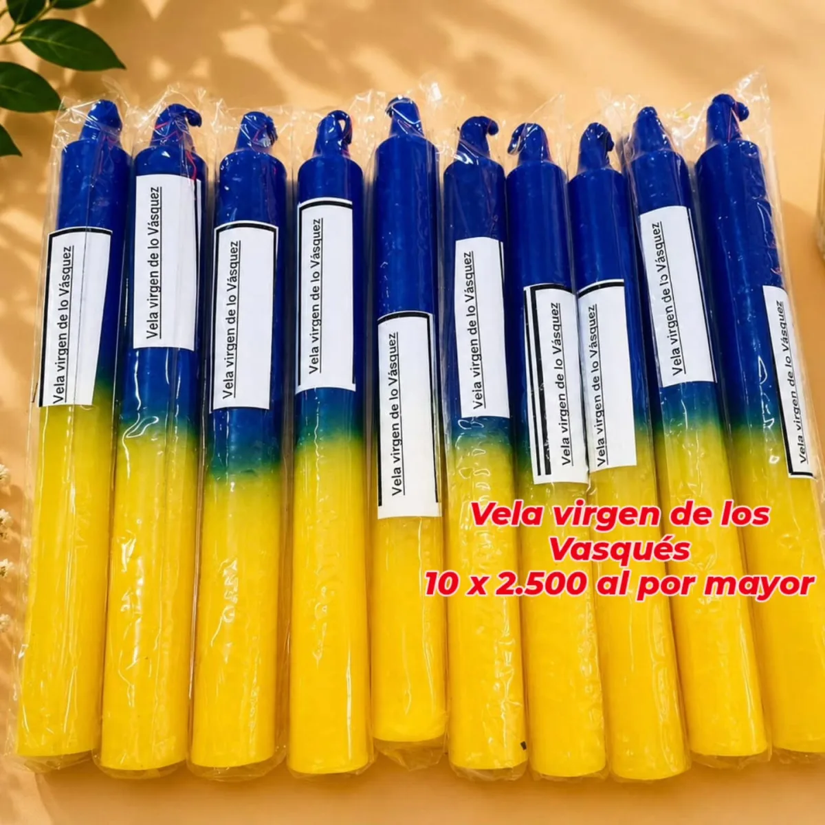 Pack 10 Velas Virgen de los Vasquez