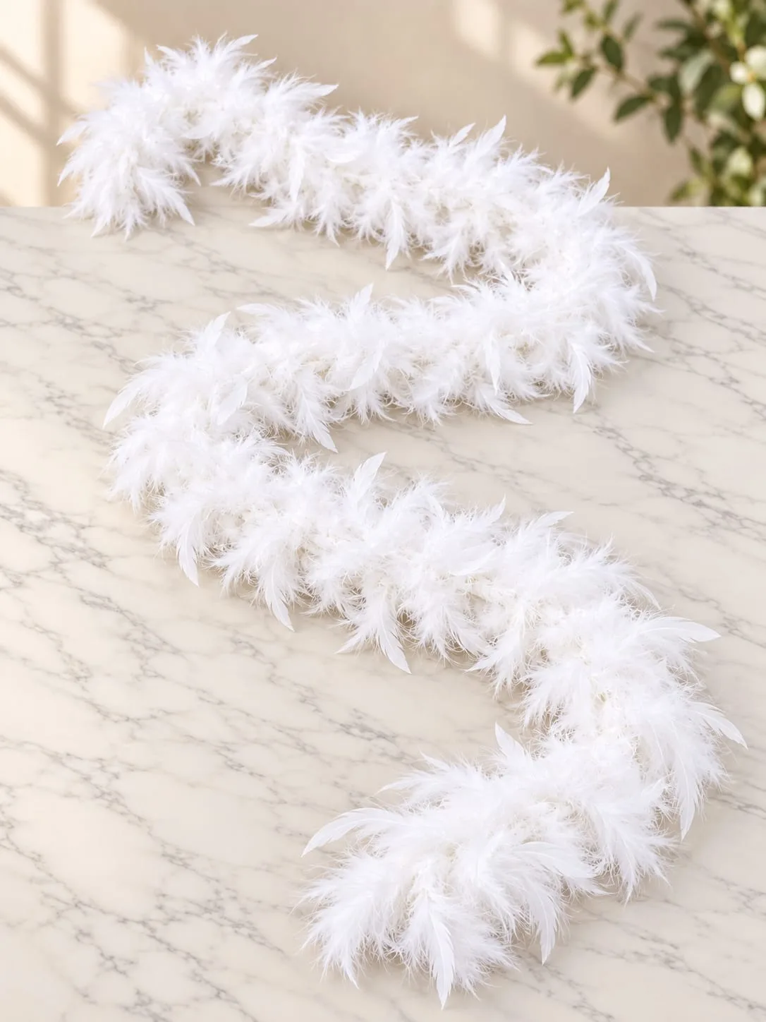 Boa de Plumas Blancas