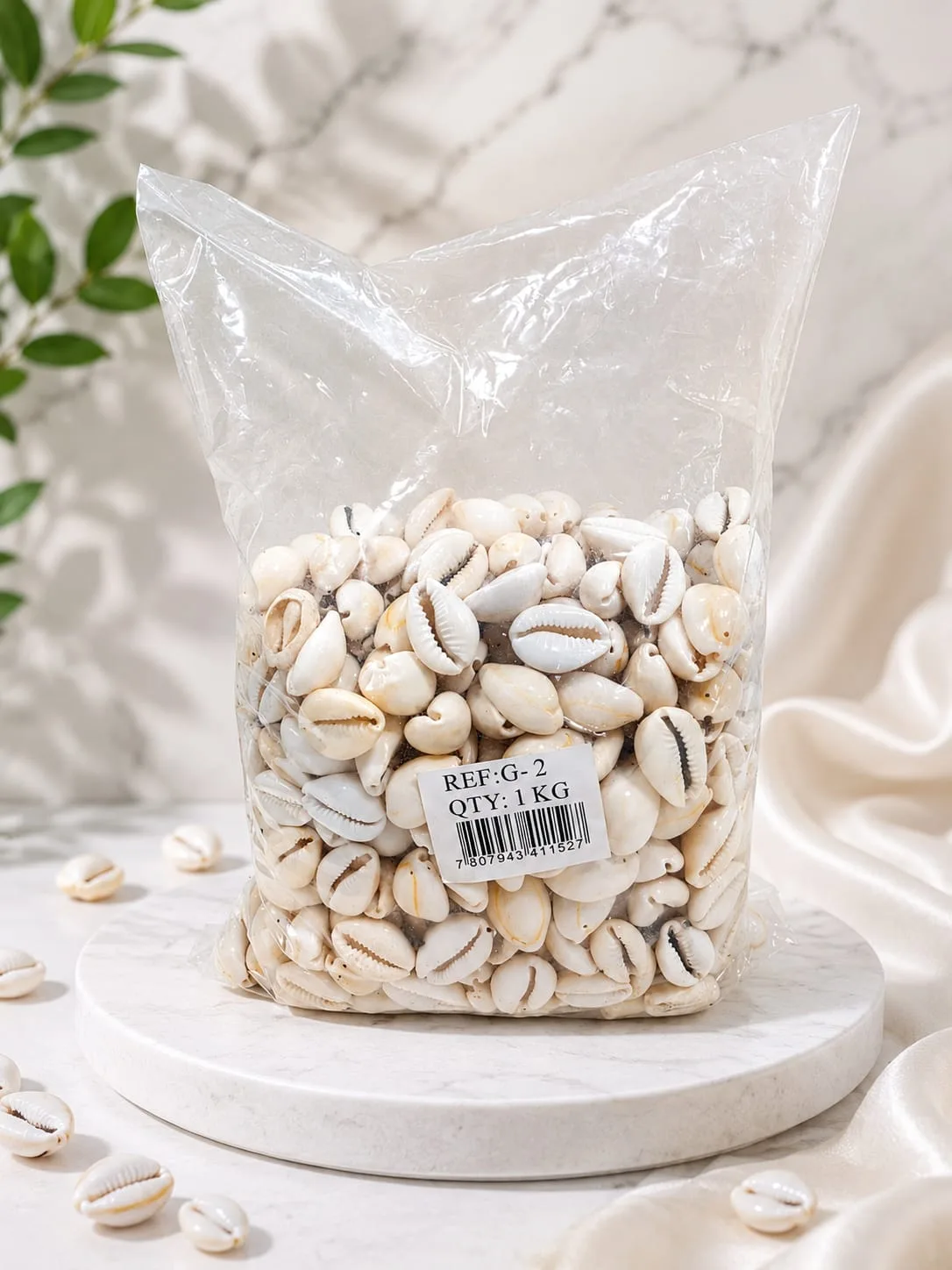 Concha de Mar o Pure Blanco (Caracol)