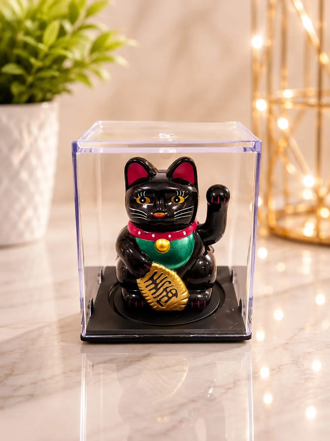 Gatos Solares en Movimiento - Negro (verde)